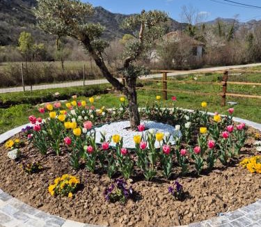 Virpazar Bed & Breakfast | Sunny Valley Retreat near Skadar Lake