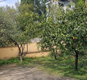 Dobra Voda Villa | Sunny Villa