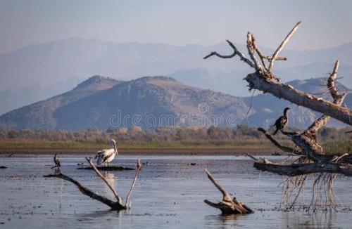 Virpazar Apartment | Sunrise Skadar lake