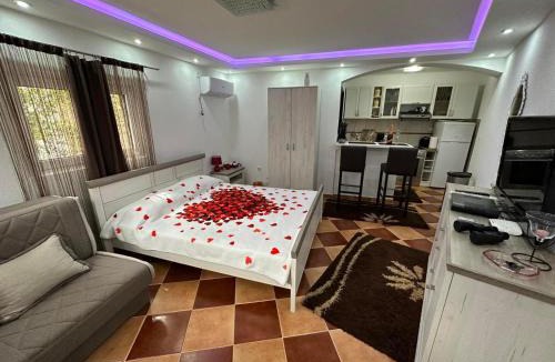 Skaljari Apartment | Sunshine Apartment with Private Pool and Parking