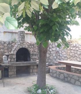 Susanj Apartment | Sweet home with a jard Slavica