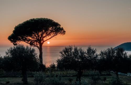 Sutomore Bed & Breakfast | Talići Hill - Rustic Villas