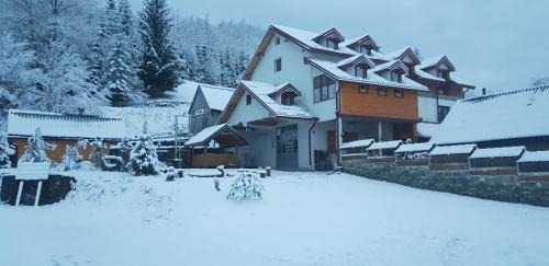 Montenegro Other | Tara Place - Camp Rabrenovic