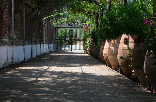Kounelion Apartment | Terre Cretoise