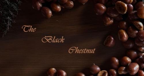 Karpenisi House | The Black Chestnut