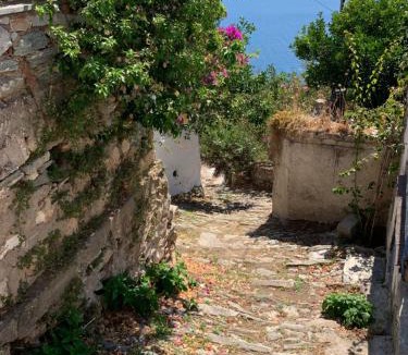 Xanthi Region House | The Music House villa with pool