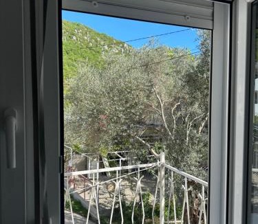 Canj Apartment | The Olive