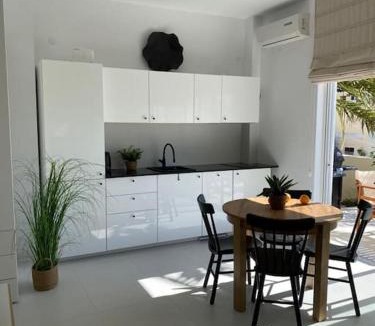 Karpathos Town Apartment | The Palm Apartment Karpathos