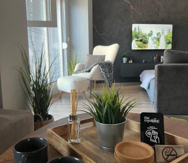 Restelicë Apartment | The Royal Pine Apartment Mavrovo