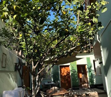 Tirana Hostel | Tirana Lemon Breeze Hostel