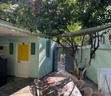 Tirana Hostel | Tirana Lemon Breeze Hostel