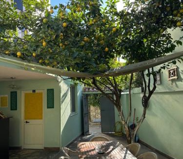 Tirana Hostel | Tirana Lemon Breeze Hostel