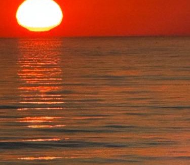 Ishem Apartment | Todhe Apartment - Gjiri Lalezit 500m from the beach