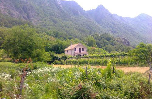 Limljani Cabin | Vacation home