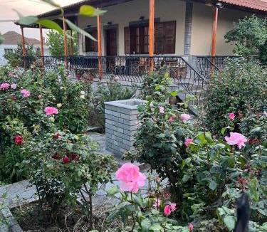 Nestos House | Valsamo Luxury Cottage