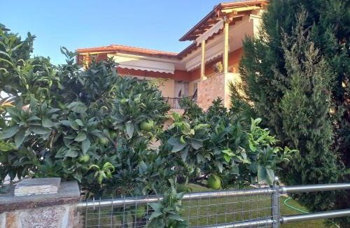 Nestos Apartment | Vasiliki's house