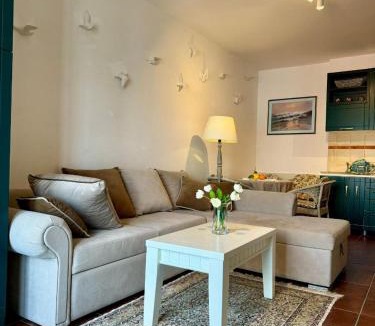 Donja Kostanjica Apartment | Vida Boka