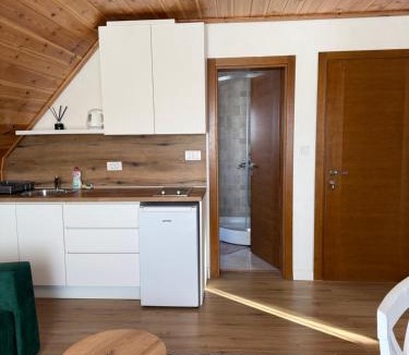 Razvrsje Apartment | View of Durmitor