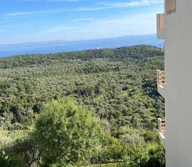 Vuno Hotel | Vila Aleks
