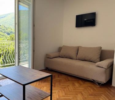 Zelenika Apartment | Vila Danica, Zelenika, Herceg Novi