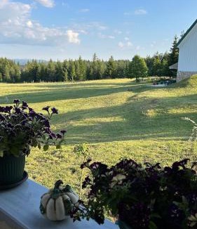 Zabljak Villa | Vila Zelena dolina Green Valley