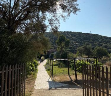 Aristotelis Villa | Villa Alexandros