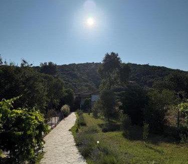 Aristotelis Villa | Villa Alexandros