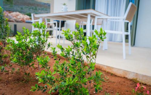 Diakofti Villa | Villa Artemis 1 - Etheras Properties