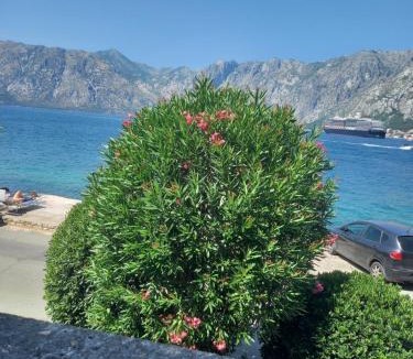 Prcanj Villa | Villa Carmen