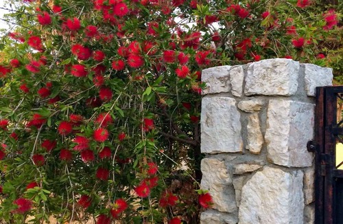 Razata House | Villa Carousos , 3 Bedrooms , 8 persons