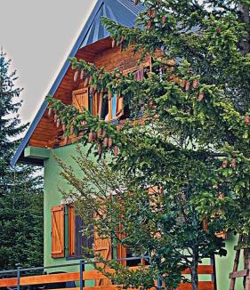 Razvrsje Villa | Villa Dandelion