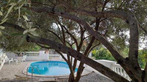Utjeha Villa | Villa Dedin