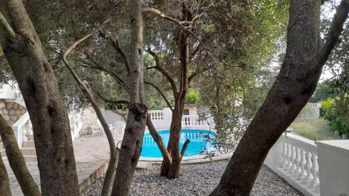 Utjeha Villa | Villa Dedin