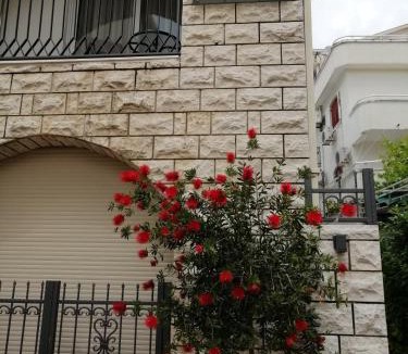 Velji Vinogradi House | Villa DiEden