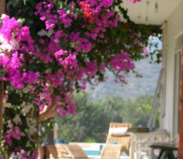 Lardos Villa | Villa Frangipani with large private pool, Rhodes