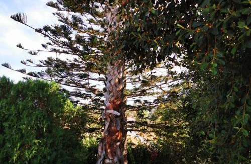 Tingaki House | Villa Irene