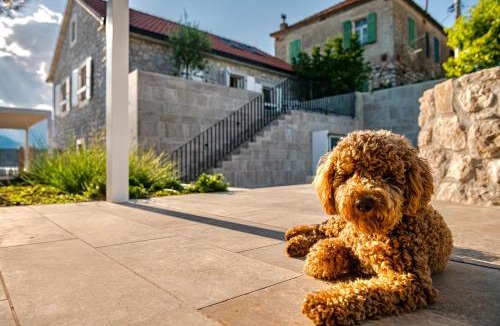 Tomicici Villa | Villa Lastva