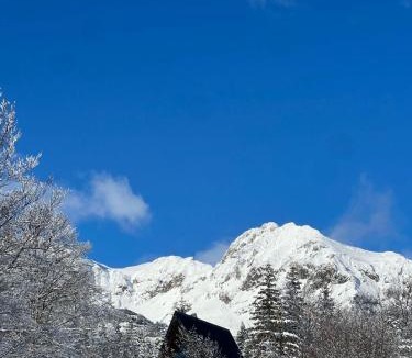 Zabljak Villa | Villa Lazar