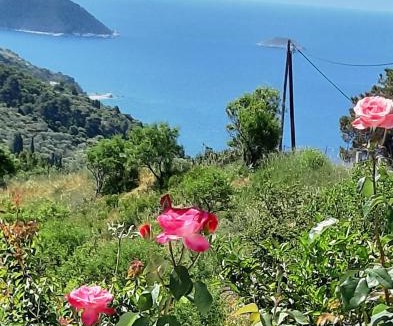 Glossa Villa | Villa Lemonia