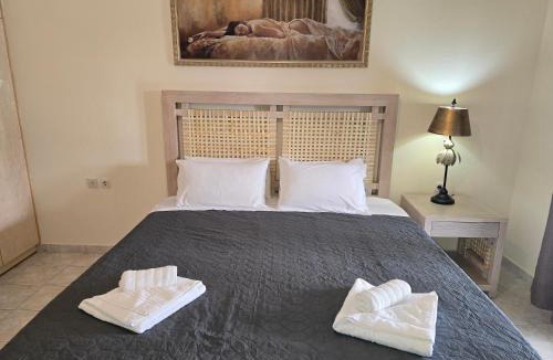 Chalikounas Villa | Villa Maxim with Private Pool & Tennis Court