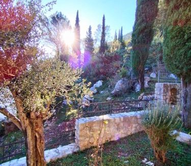 Zvinje Villa | Villa Mir, Igalo, Herceg Novi