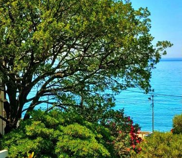 Sutomore Apartment | Villa Nadalina