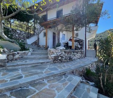 Kallirakhi Villa | Villa Nadya