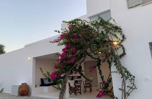 Soros Villa | VILLA NOSTOS ANTIPAROS