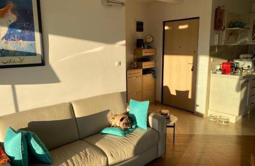 Lucice Apartment | Villa Nova Premium Apartment No 7