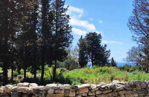 Rantatika Apartment | Villa Olive Garden, Kastanida - Paxoi