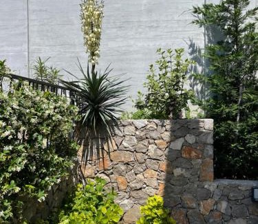 Bar Villa | Villa Pine