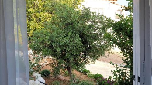 Loutraki-Agioi Theodoroi Villa | Villa Rania Loutraki