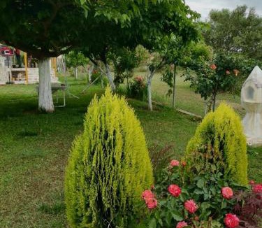 Pangaio House | Villa Sophie