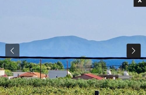 Pangaio House | Villa Sophie